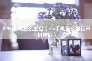 OPPO手机怎么重启(vivo手机怎么强行开机重启)